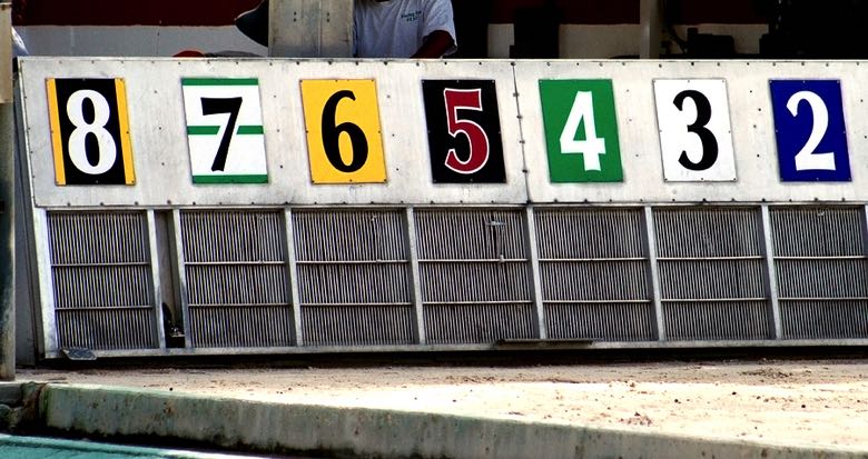 Greyhound starting gate