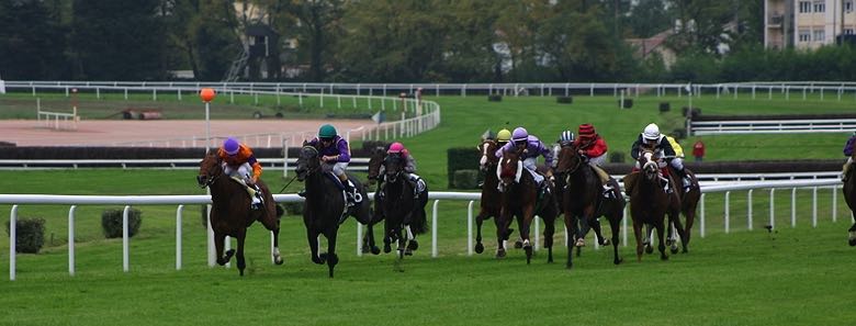 Horse racing action shot